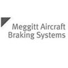 Meggit